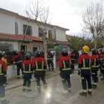 Estudiantes de FP Vigiles realizan prácticas en apeo de arbolado urbano en Brunete