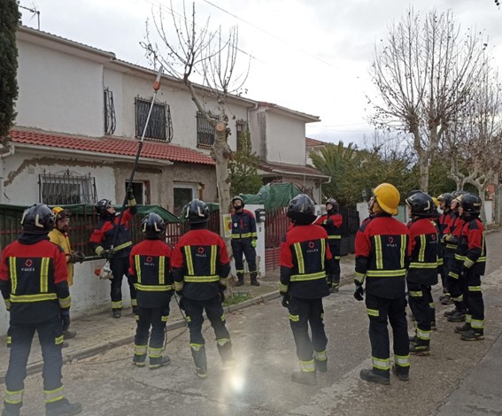 Estudiantes de FP Vigiles realizan prácticas en apeo de arbolado urbano en Brunete Estudiantes de FP Vigiles realizan prácticas en apeo de arbolado urbano en Brunete